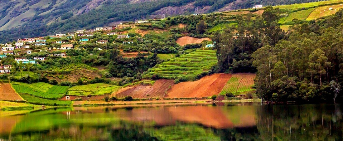 Ooty - Coonoor - Mudumalai - Avalanche Lake (from Coimbatore)