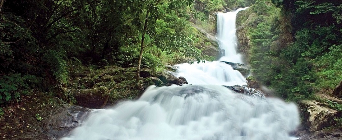 Coorg - Iruppu Falls - Nagarhole In 2 Days (from Madikeri)