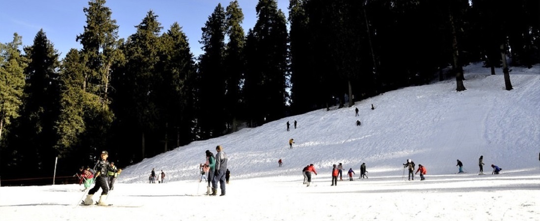 3 Day Trip in Shimla | Shimla - Narkanda - Hatu Peak - Taradevi Temple ...