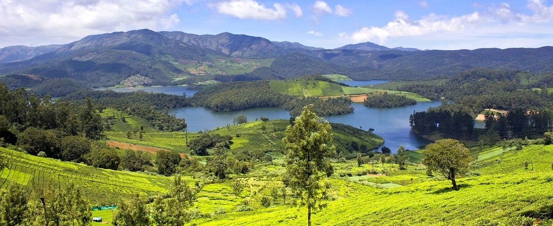 ooty-avalanche-lake-bandipur-from-bangalore