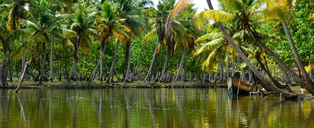 Quick Tour of Trivandrum - Poovar (from Trivandrum)