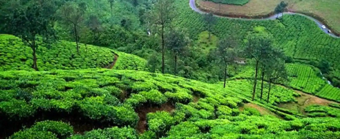 munnar vagamon trip