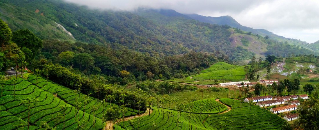 Best of Valparai (from Coimbatore)