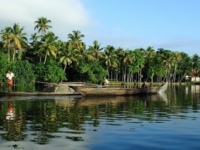 Best of Alleppey with Kochi (from Kochi)
