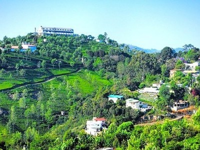 ooty holiday tour packages