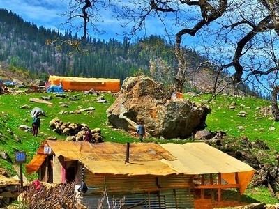 new delhi to manali tour package