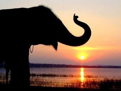 4 Day Trip from Bangalore | Coorg - Nagarhole Leisure Tour