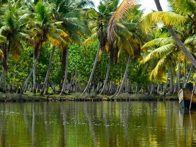 group tour packages trivandrum