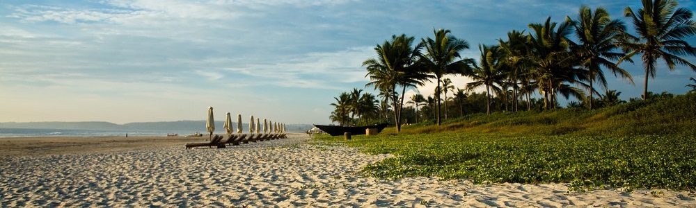 25 Top Beaches in Goa 