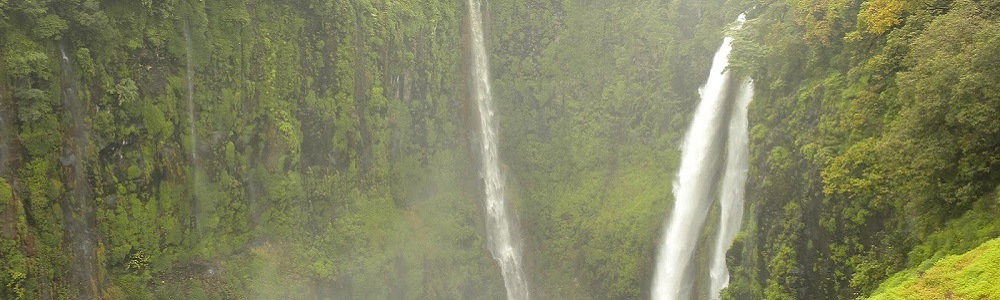 16 Best Waterfalls near Mumbai 