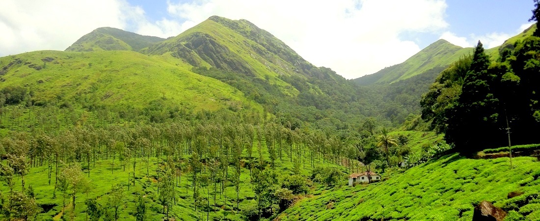 36 Wayanad Family Tour Packages, Flat 20% Off - Book at Lowest Price